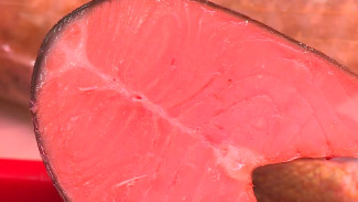 Воронежцам рассказали, где купить вкусную и свежую рыбу