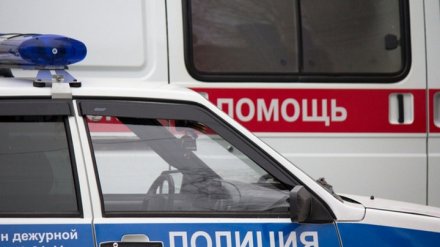 Под Воронежем перевернулся минивэн: пострадали восемь человек