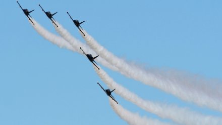 В Воронеже в честь 100-летия Военно-воздушной академии устроят авиашоу