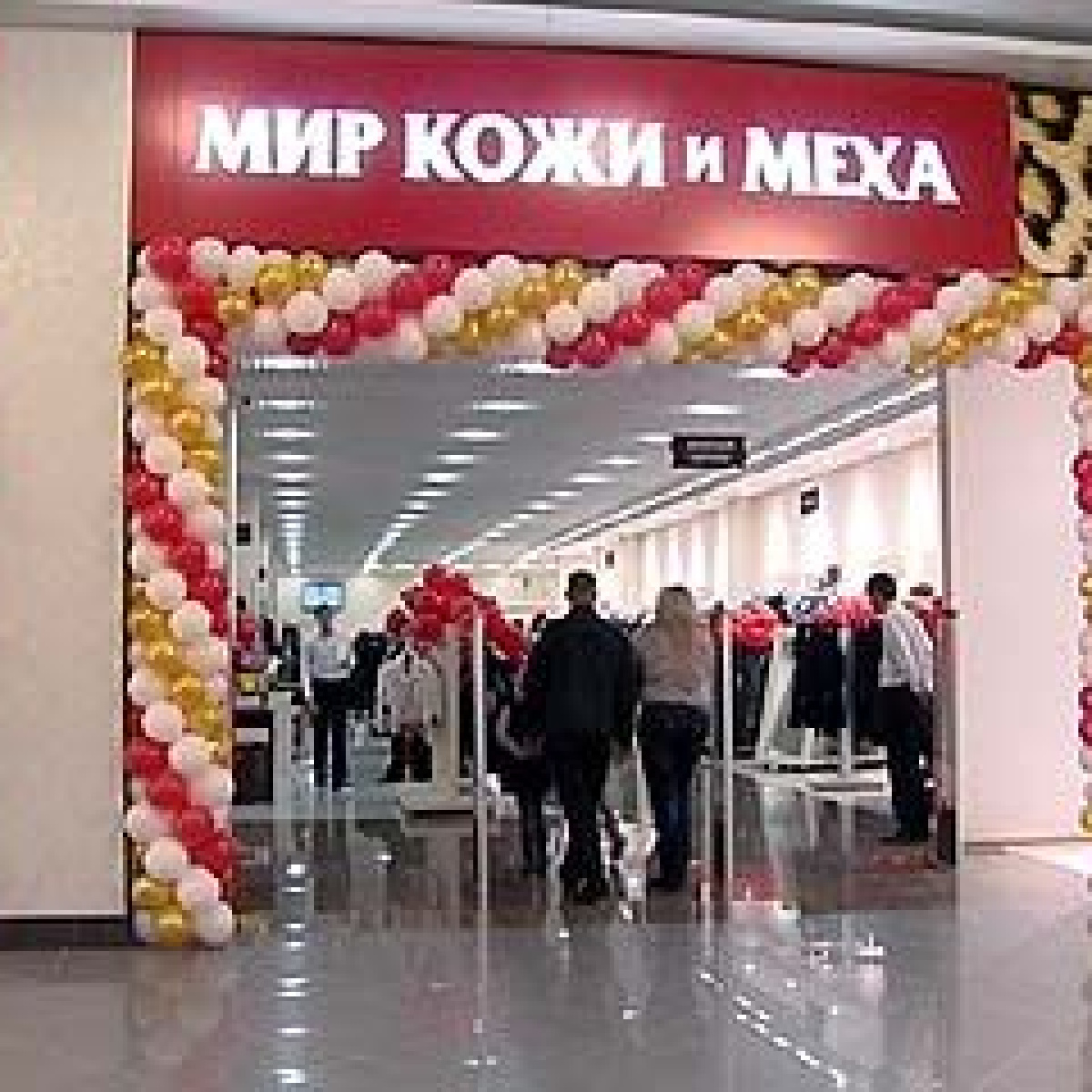 Мир кожи