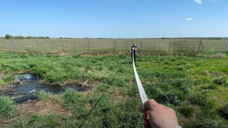 От московской компании потребовали 1,8 млн за загрязнение почвы под Павловском 