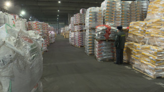 В Воронежскую область с начала года пришло 9 тыс. тонн импортных семян