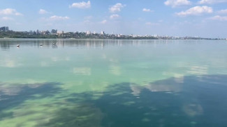 Воронежцы пожаловалось на вонь с позеленевшего водохранилища