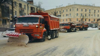 Несколько улиц в центре Воронежа перекроют для очистки от снега