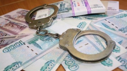 Директора воронежской компании будут судить за махинации на 16 млн рублей