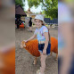В Воронеже 9-летняя актриса театра драмы стала жертвой нападения огромной крысы