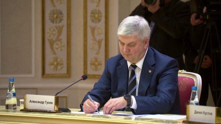 Воронежский губернатор поддержал белгородцев, страдающих от бесконечных обстрелов ВСУ
