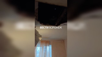 Воронежцам показали на видео квартиру после обрушения потолка