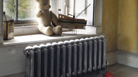 В Воронежской области сельский Дом культуры оставили без батарей