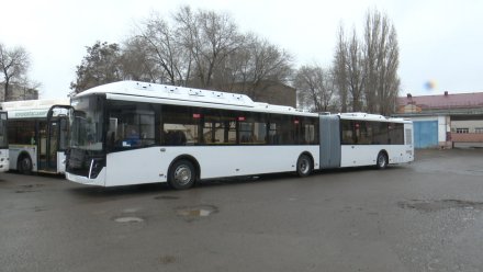 Автобусы-гармошки выйдут на линии в Воронеже в апреле