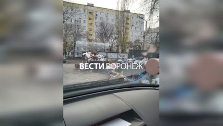 Жильцы воронежской 9-этажки пожаловались на кишащую грызунами свалку