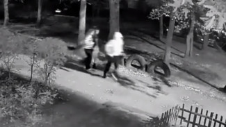 Подростки под камерами разгромили двор дома на улице Артамонова в Воронеже