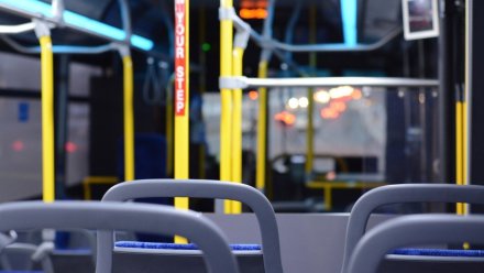 В Воронеже возбудили дело после травмы женщины во время поездки в автобусе