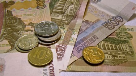 В Воронежской области отложили штрафы по недавно введённому единому налоговому счёту