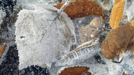 Воронежские синоптики прогнозируют заморозки в выходные