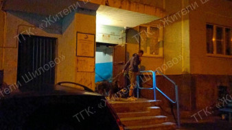 Избитые животные и смрад на весь дом. Воронежцы пожаловались на хозяина собачьей стаи