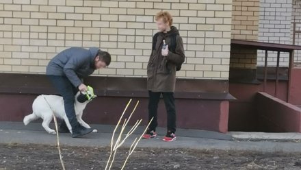 В Воронеже подростки распылили перцовый баллончик в лицо гулявшей с ребёнком женщине 