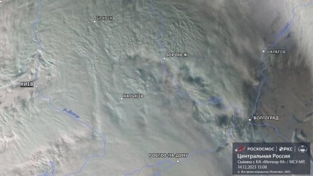 Накрывший Воронеж рекордным снегопадом циклон «Ваня» показали на фото из космоса