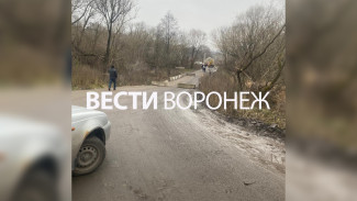 Воронежцы пожаловались на перекрытие объездной дороги через село Ендовище