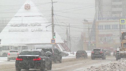 Когда в Воронежской области пойдёт снегопад?