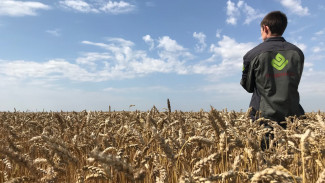 Агропредприятия «Продимекс» начали подготовку к уборочной кампании