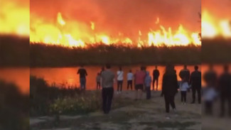 Жители посёлка под Воронежем сняли на видео огненный апокалипсис на берегу реки 