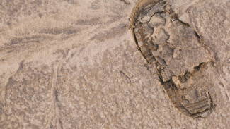 Пропавшего без вести 38-летнего мужчину нашли мёртвым в Воронеже