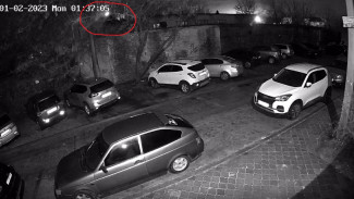 Работа ПВО ночью под Воронежем попала на видео