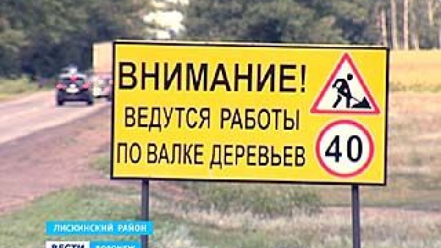 На всех трассах Лискинского района с обочины дорог убирают тополя