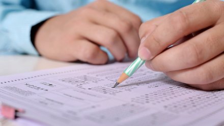 Власти упростили правила сдачи выпускных экзаменов в 2021 году