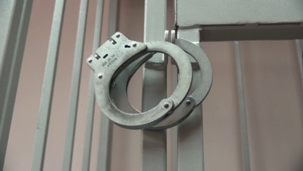 Главному фигуранту дела о сексе со школьницами в Борисоглебске продлили арест до марта