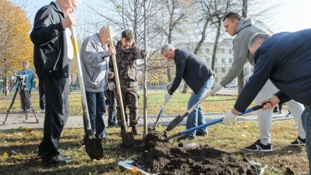 Более 180 тысяч жителей Воронежской области приняли участие в субботнике