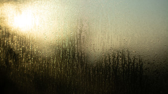 Потепление до +17 градусов нагрянет в Воронежскую область