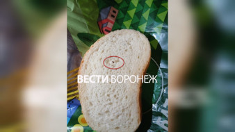 В воронежской «Пятёрочке» женщине продали булку с тараканом внутри