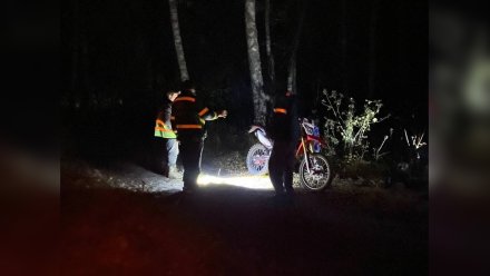 В Борисоглебском городском округе мужчина ушёл в лес за грибами и заблудился