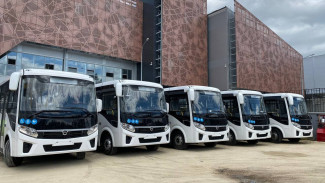 Выпуск пассажирских автобусов на линию ускорят в Воронеже