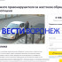 Воронежцы создали петицию с просьбой наказать переехавшего собаку мужчину