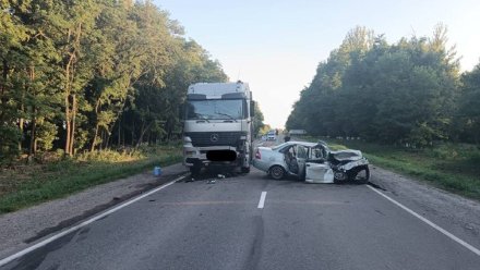 Женщина погибла в ДТП с фурой и легковушкой в Павловском районе