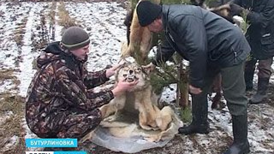 В Бутурлиновке отметили День охотника