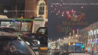 Власти Воронежа пожалуются в полицию на хулиганов, запустивших с крыши автобуса салют  