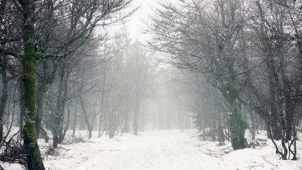 Три опасных погодных явления задержатся в Воронежской области