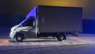 Водитель «Газели» насмерть сбил пешехода на воронежской трассе