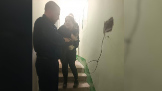 В Воронеже спасатели просверлили стену в подъезде для помощи застрявшему коту
