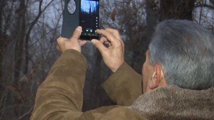 В Воронеже исполнилось 33 года с даты высадки НЛО у парка «Южный»