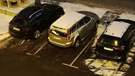 Переставших платить за парковку воронежцев «задобрят» качественной уборкой снега
