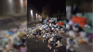 Воронежцы пожаловались на огромную свалку во дворе пятиэтажки