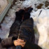 Дело о сходе снежной лавины с крыши на пенсионерку в Воронеже дошло до суда