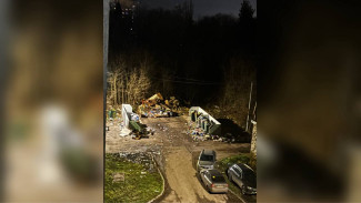 В Семилуках пожаловались на мусорную катастрофу возле домов и детской площадки