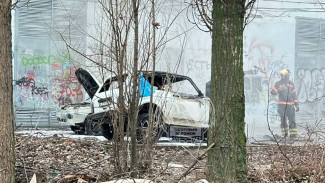 ВАЗ на улице Владимира Невского в Воронеже поджёг его хозяин