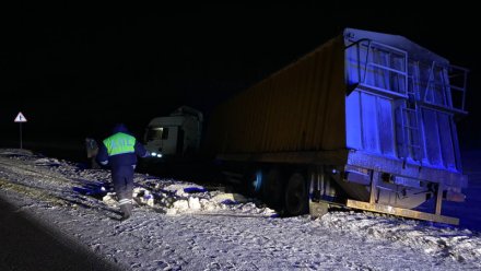 Фура вылетела в кювет на заснеженной трассе в Воронежской области